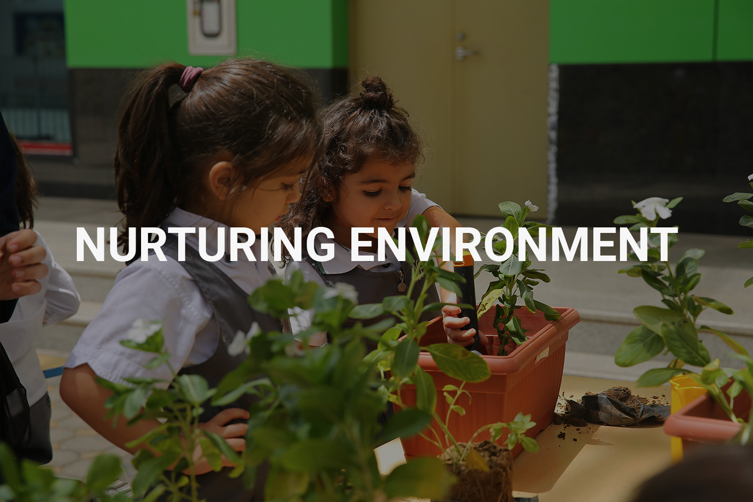 Nurturing-environment